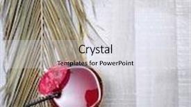  Presentation with shells - Beautiful slide set featuring coconut cocktail starfish and shells on the pool deck backdrop and a sky blue colored foreground