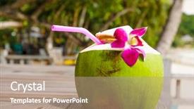  Presentation with organic coconut yogurt in wooden - Colorful PPT layouts enhanced with coconut drink on the wooden backdrop and a coral colored foreground