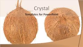  Presentation with coconut - Presentation enhanced with coconut-from-different-angles-isolated background and a coral colored foreground