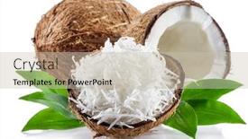  Presentation with coconut shell - Amazing PPT layouts having coconut-fruit-and-shredded-coconut backdrop and a soft green colored foreground