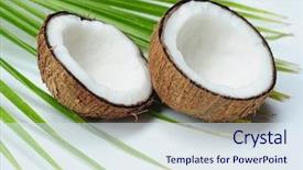 Presentation with coconut fruit - Slides with coconut fruit background and a sky blue colored foreground