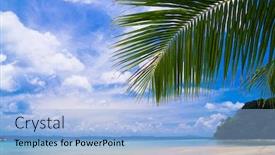  Presentation with coconut - PPT theme having coconut-getaway-palms-overhanging background and a light blue colored foreground