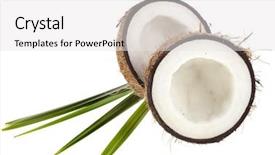  Presentation with green coconut - PPT layouts with coconut half isolated on white background and a white colored foreground