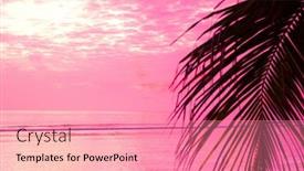  Presentation with horizon - Amazing PPT layouts having coconut-horizon-bay-view backdrop and a coral colored foreground