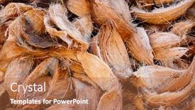  Presentation with coconut - Slide deck featuring coconut-husk-on-market-stall background and a coral colored foreground