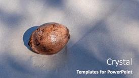  Presentation with coconut - Slides enhanced with coconut-in-a-beach and a ocean colored foreground