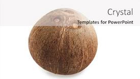  Presentation with coconut - Presentation featuring coconut-isolated-on-a-white background and a white colored foreground