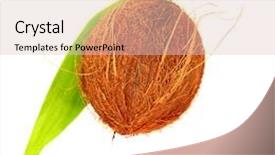  Presentation with coconut fruit - Colorful slide set enhanced with coconut isolated on white background brown hairy hard tropical fruit with fresh green leaves still life exotic nutrition concept backdrop and a lemonade colored foreground