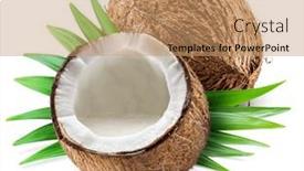  Presentation with coconut fruit - Theme with coconut-milk-in-the-half background and a coral colored foreground