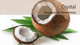  Presentation with green coconut - Amazing theme having coconut on a white background backdrop and a coral colored foreground
