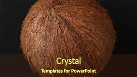  Presentation with coconut shell - Presentation enhanced with coconut on black background background and a tawny brown colored foreground