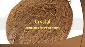  Presentation with coconut - Slide deck featuring delicious roasted peanuts on a white background background and a cream colored foreground