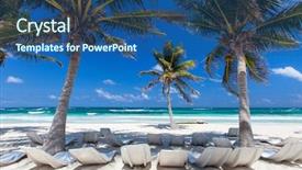  Presentation with beach palm tree wedding - Slides with coconut palm at perfect caribbean background and a ocean colored foreground