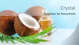  Presentation with coconut palm tree - Presentation consisting of coconut palm oil background and a cool aqua colored foreground