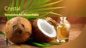  Presentation with coconut palm tree - Slide set consisting of coconut-palm-oil background and a tawny brown colored foreground