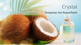  Presentation with palm tree - PPT theme consisting of coconut-palm-oil background and a sky blue colored foreground