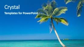  Presentation with paradise island - Audience pleasing slide deck consisting of coconut palm tree - exotic paradise idyllic island backdrop and a ocean colored foreground