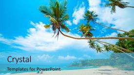  Presentation with palm tree - Colorful PPT theme enhanced with coconut palm tree - tropical beach in sri lanka backdrop and a light blue colored foreground