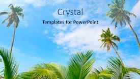  Presentation with coconut palm tree - Slide set consisting of coconut palm tree and blue sky tropical background beach background and a light blue colored foreground