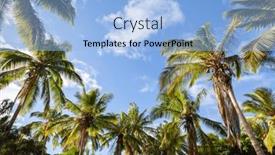  Presentation with honolulu hawaii - Presentation design with coconut-palm-tree-forest background and a light blue colored foreground