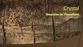  Presentation with coconut palm tree - Colorful slides enhanced with coconut palm tree trunk background backdrop and a tawny brown colored foreground