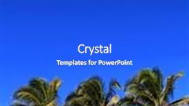  Presentation with coconut palm tree - Colorful presentation theme enhanced with coconut palm tree under blue sky with hut palapa sun roof backdrop and a cobalt blue colored foreground