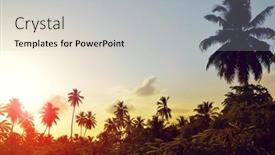  Presentation with island sunset - Beautiful slide deck featuring coconut-palm-trees-at-sunset backdrop and a light gray colored foreground