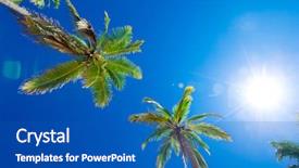  Presentation with coconut tree - Beautiful slide set featuring coconut palm trees beautiful tropical backdrop and a teal colored foreground