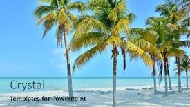  Presentation with coconut palm tree - Presentation having coconut-palm-trees-isla-mujeres background and a light blue colored foreground
