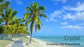  Presentation with palm beach - Slide set consisting of coconut palm trees on tropical sandy beach of mauritius island indian ocean background and a light blue colored foreground