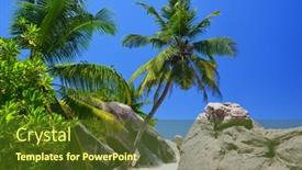  Presentation with palm beach - Theme with coconut-palm-trees-on-tropical background and a tawny brown colored foreground