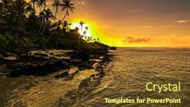  Presentation with samoa - Beautiful PPT layouts featuring coconut-palm-trees backdrop and a tawny brown colored foreground