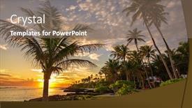  Presentation with samoa - Colorful PPT theme enhanced with coconut-palm-trees backdrop and a coral colored foreground