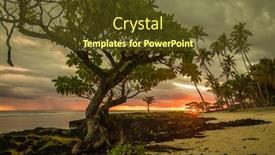  Presentation with samoa - Beautiful PPT layouts featuring coconut-palm-trees backdrop and a tawny brown colored foreground