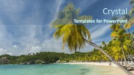  Presentation with palm beach - Slide set featuring caravelle beach in sainte ann background and a ocean colored foreground