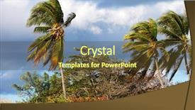  Presentation with strong - Amazing slide set having coconut palms and strong winds backdrop and a tawny brown colored foreground
