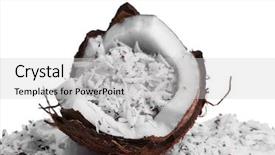  Presentation with coconut - Slide deck having coconut-shavings-in-coconut-isolated background and a light gray colored foreground