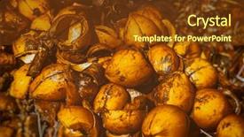  Presentation with coconut shell - Presentation design having coconut shell background big pile of empty yellow coconuts sweet delicious fruit traditional tasty refreshing food and drink of sri lanka background and a tawny brown colored foreground