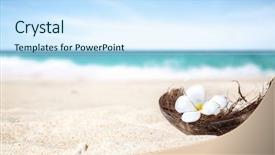  Presentation with coconut shell - PPT theme with philippines fruits - coconut shell on the sand background and a sky blue colored foreground