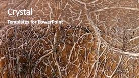  Presentation with coconut - Colorful presentation enhanced with coconut texture background backdrop and a coral colored foreground