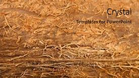  Presentation with coconut - Audience pleasing PPT theme consisting of coconut texture backdrop and a gold colored foreground