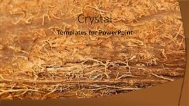  Presentation with coconut - PPT theme featuring coconut texture background and a gold colored foreground