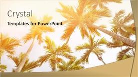  Presentation with coconut tree - Cool new theme with coconuts palm trees blue - coconut tree against the sky backdrop and a blonde colored foreground