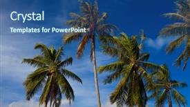  Presentation with coconut tree - PPT theme with tablet pc computer at flower background and a light gray colored foreground