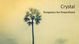  Presentation with coconut tree - Theme enhanced with coconut tree over blue sky filtered image processed vintage effect background and a blonde colored foreground