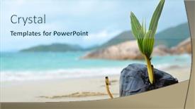  Presentation with coconut tree - Slide deck consisting of coconut-tree-sprout background and a cool aqua colored foreground
