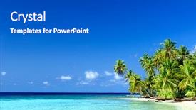  Presentation with coconut palm tree - Slide set consisting of coconut trees - palm tree beach background and a dark gray colored foreground