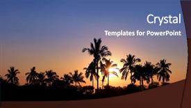  Presentation with coconut tree fruits - Colorful presentation design enhanced with coconut trees and sun set backdrop and a ocean colored foreground