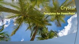  Presentation with coconut - Audience pleasing PPT layouts consisting of coconut-trees-at-the-tropical backdrop and a tawny brown colored foreground