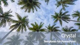  Presentation with plantation - Amazing presentation design having coconut trees plantation dynamic view backdrop and a mint green colored foreground